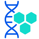 DNA-Methylation